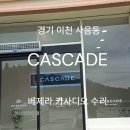 작은관리팁 - 경기 이천 사음동 CASCADE 베제라 아카디아 수리 이미지