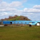 선양 목장 이미지