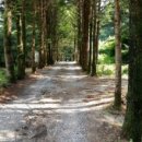 아버지의 숲 산정캠프 이미지