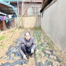 강림주유소 이미지