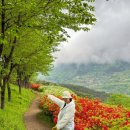 만연산주차장 공중화장실 이미지