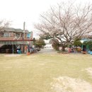 시소 민박 | 가족 힐링 여행지로 딱 좋았어요 자연을 품은 충남펜션 ‘해변쉼터’ 방문 후기