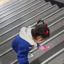 뚜레쥬르 광주5.18공원점 | 광주 가족 뮤지컬 추천 | | 어린이 뮤지컬 '사과가 쿵' 관람후기