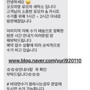 꼬꼬마망 이미지