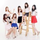 미스터포 이미지