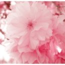 혜성공인중개사사무소 이미지