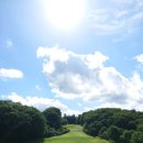 수목 당구장 이미지