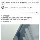 혐) 동남아 여행이 무서운 이유 ㄷㄷ 이미지