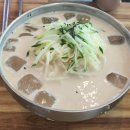 제갈콩명 | 울산 동구 돌판비빔밥 &amp; 콩국수 제갈콩명 본점(내돈내산)