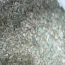 창암농장 이미지