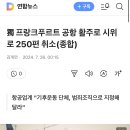 獨 프랑크푸르트 공항 활주로 시위로 250편 취소 이미지