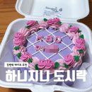지니하니 | 강변역케이크 맛집 추천: 하니지니 생일 도시락케이크 후기