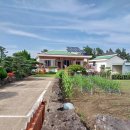 표선 교차로 2 이미지