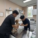 수 동물병원 이미지
