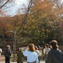 나포작은도서관 | 남산하늘숲길☁️| 서울 가을 명소