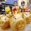 황금돼지 이미지