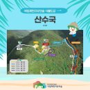 제천 치유의 숲 이미지
