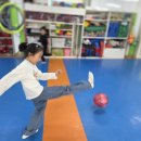 깃든태권도장 이미지