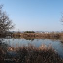 대왕암솔바람길 이미지