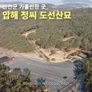 압해 정(丁)씨 시조묘 | 국무총리 3명을 배출한 신안군 압해정씨 도선산묘