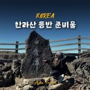 관음사 | 겨울 한라산 등반 준비물 및 관음사코스 후기
