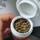 삼례비비정한약국 이미지