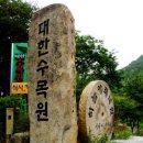 대한수목원