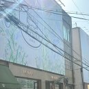 향덕후 모여라, 딥디크 전시+팝업 한눈에 보기! (위치·샘플·후기 총정리)
