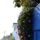 감천문화마을 이미지