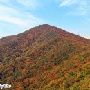 용종마을중앙아파트 앞 이미지