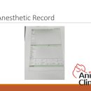 관저종합동물병원 이미지