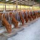 신용축산 이미지