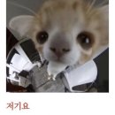 상예곡 | 하반기에 뭘 봤냐면…