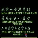 인생 / 모정애 이미지