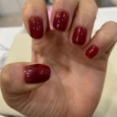 naillee 이미지