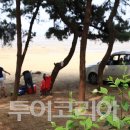 별빛조명