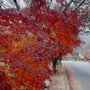 고삼노래방 이미지