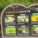 수목 비교 관찰원 이미지