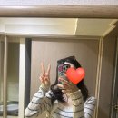 [일본] 여자 혼자 후쿠오카 2박3일(2) 쇼핑, 자전거타고 오호리공원, 야끼니쿠 바쿠로, 스시사카바...