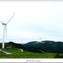 하늘목장 이미지