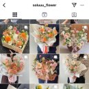 솔루플라워 이미지