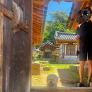 경주 용산 회 식당 초장 구매 후기 용산 서원 방문