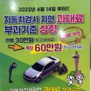 코리아카독크 이미지