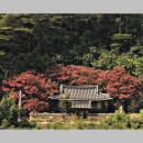 파산정(巴山亭) | 안동의 정자(亭子)....파산정(巴山亭)의 꽃담장
