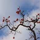 시골정취 이미지