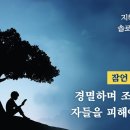 잠언 강해 12 - 경멸하며 조롱하는 자들을 피해야 한다 : 정동수 목사, 사침례교회, 킹제임스흠정역성경, 설교, 강해, (2022. 이미지