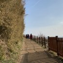 외옹치항 활어판매장 이미지