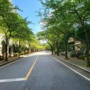 신봉2로48번길 이미지