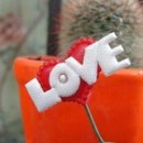 빛사랑안경 이미지