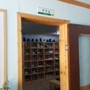 사랑애견 이미지